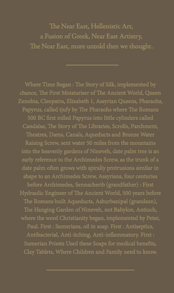 BOOK : THE ANCIENT NEAR EAST, MORE UNTOLD THAN WE THOUGHT