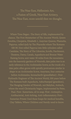 BOOK : THE ANCIENT NEAR EAST, MORE UNTOLD THAN WE THOUGHT