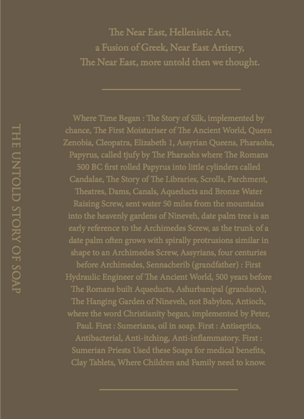BOOK : THE ANCIENT NEAR EAST, MORE UNTOLD THAN WE THOUGHT